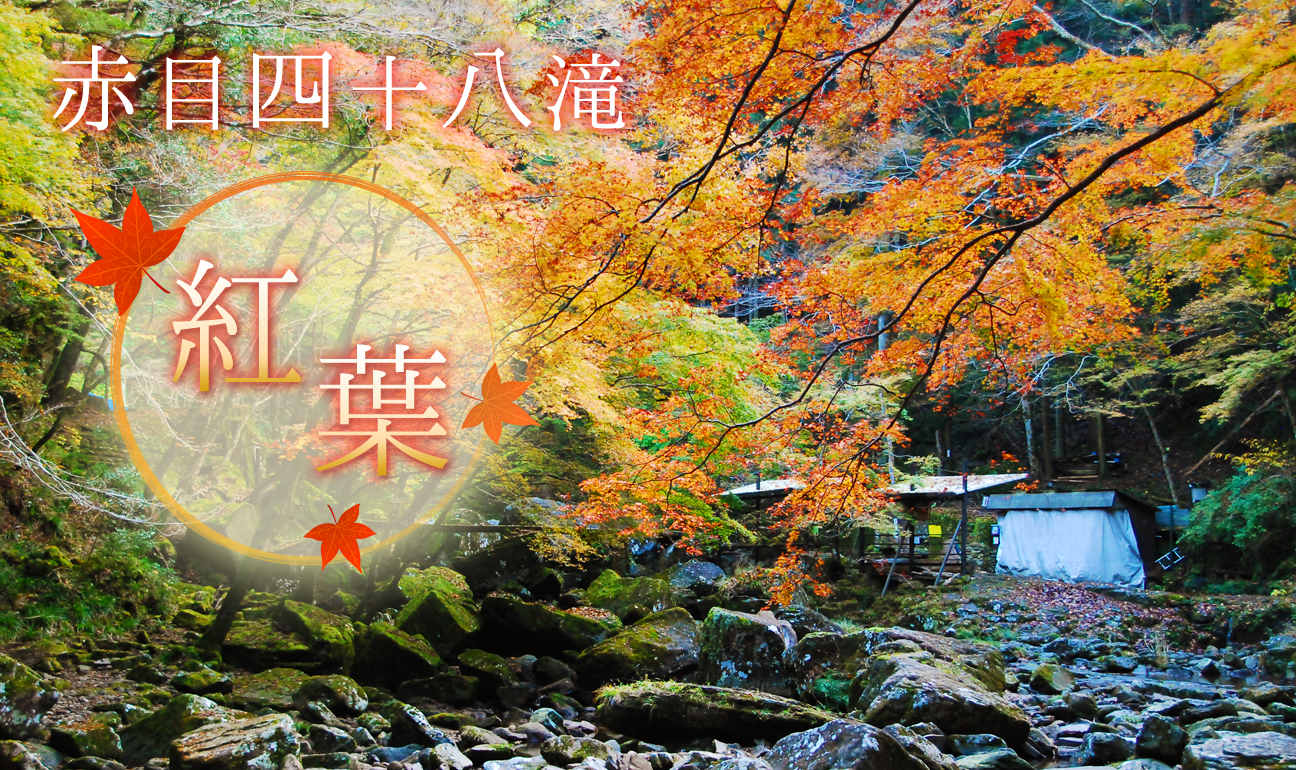 【名張の観光スポット】紅葉がはじまった赤目四十八滝に行ってきた。